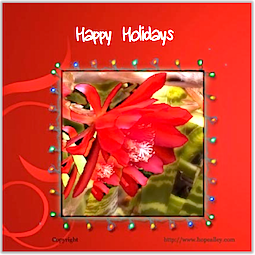 Free ecards online, Holidays,