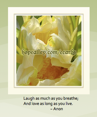 Laugh as much as you breathe and love as long as you live. Anon
